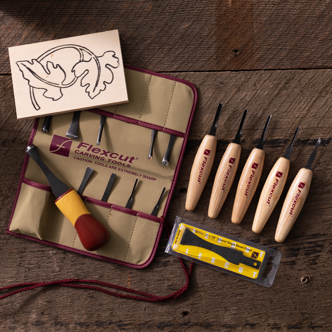 SK107 11 pc. Craft Carver Set